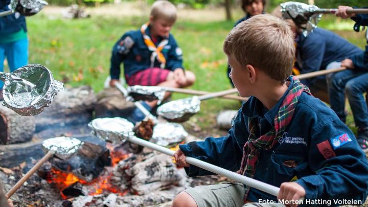 Mikroer i Hammershus Spejderne